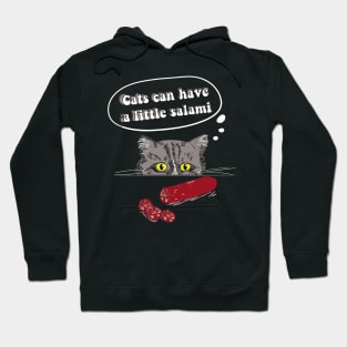 Can Cats Have Salami Hoodie